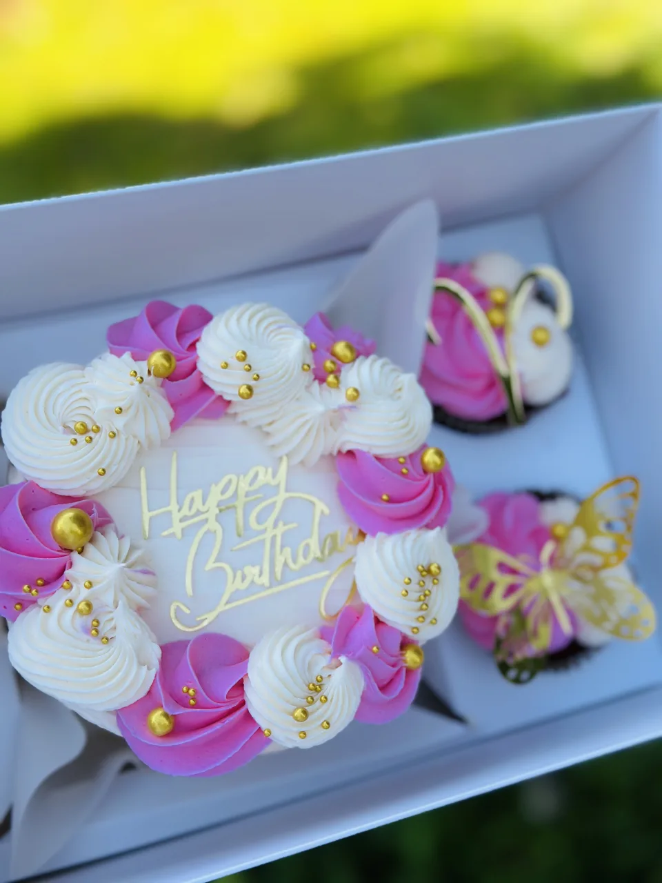 Bento with 2 cupcakes
