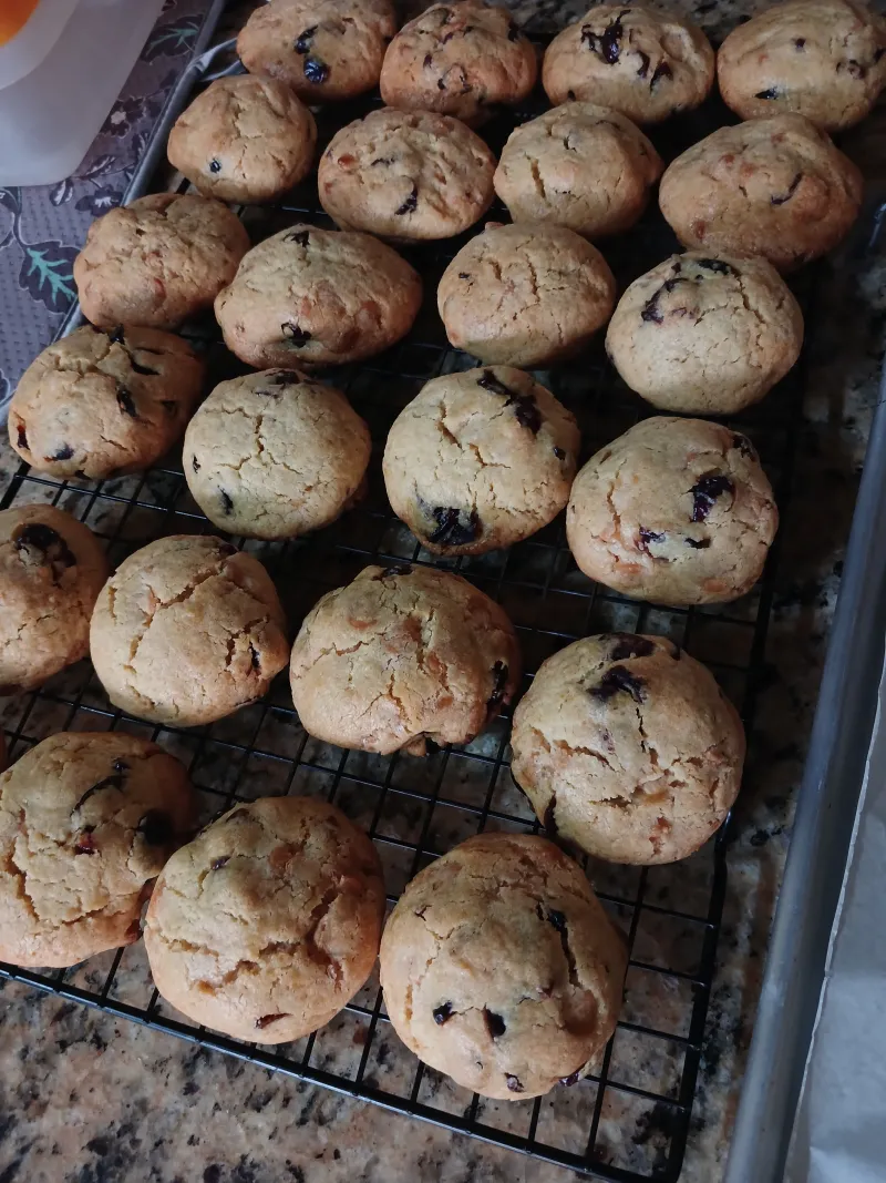 White Chocolate Chip Cranberry cookies