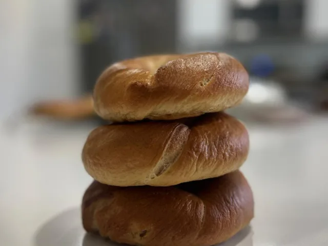 Plain Bagels 